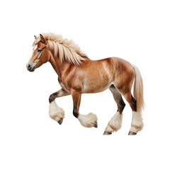 Obraz premium Majestic Horse Trotting with Grace: A beautifully palomino horse with a flowing mane trots gracefully, showcasing its elegance and strength in every stride.