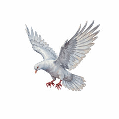 Celestial Serenity: A pure white dove, embodying peace and freedom, soars gracefully, wings extended in mid-flight. Witness the delicate beauty of the bird, its feathers immaculate.