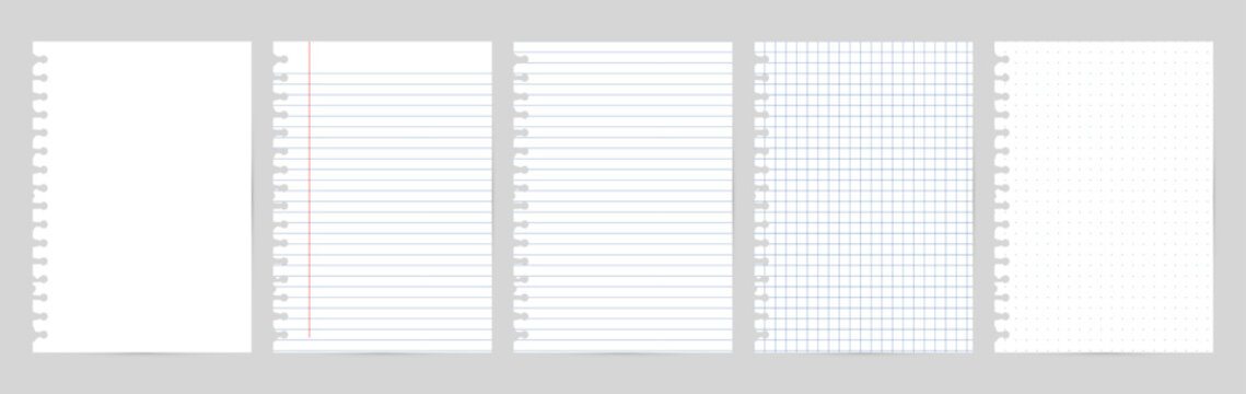 A set of 5 notebook paper templates with soft blue lines and red margin, side punch holes on white background. Includes plain, ruled, grid, dot formats.