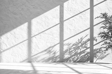 Sunlit Minimalist Interior with Textured Wall and Plant Shadow