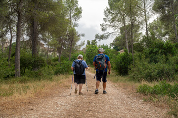 Back view of a senior woman with a man hiking in a forest