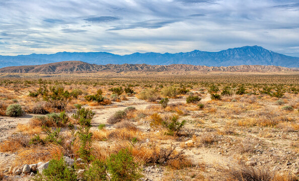 California Desert landscape near a fault line and the Coachella Valley Preserve