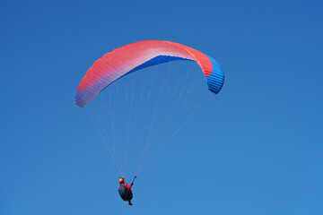  Paraglider under a red and blue canopy in the blue sky. Copy space.