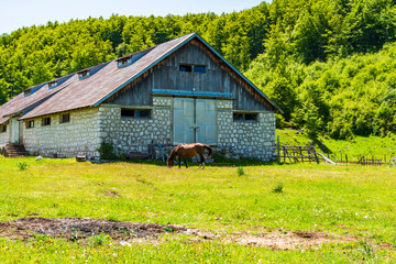 View of a countryside in small village Trsa in Montenegro