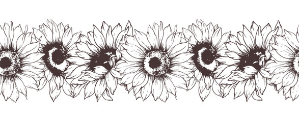 Seamless Sunflower Garland. Seamless Horizontal Sunflowers Background. Sunflower Line Art Drawing. Seamless Flower Design. Botanical garland seamless. Border Frame