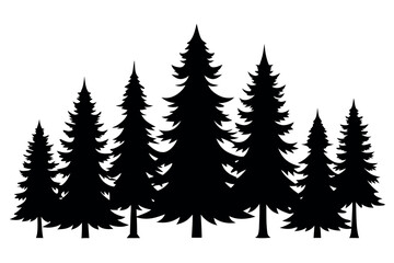 Fototapeta premium Black Vector Silhouette Set of Evergreen Pine Trees in Forest Landscape – Seasonal Nature Illustration