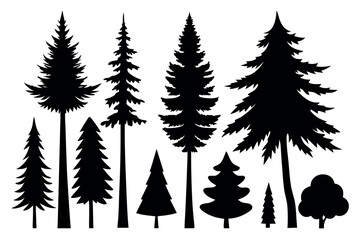 Obraz premium Black Pine Tree Silhouette Set – Evergreen Forest Trees in Nature Landscape Vector