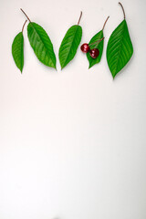 Minimalistic flat layout with cherry tree leaves and ripe cherries. Summer botanical concept for packaging, banners or greeting cards.