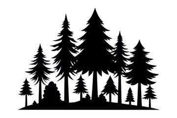 Fototapeta premium Silhouettes of evergreen trees in a forest&nbsp;setting