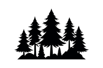 Silhouettes of evergreen trees in a forest setting