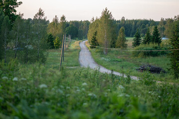 A simple country road stretches towards a distant dense forest. Alongside the road, crooked power...