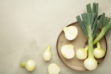 Green onion on light grey background. Space for text
