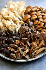 Chanterelle Porcini Morel Mushrooms Variety Plate chanterelle mushrooms