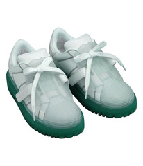 Image of a shoes for fashion on transparent background