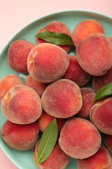 Sweet peaches and leaves on mint plate on pink background. Vertical photo
