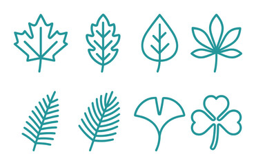 Colorful leaf set. botanical foliage silhouette leaves. maple, fern, clover, palm vector icons.