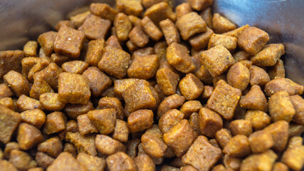 Close-up of cat food in a metal bowl. Com for pets