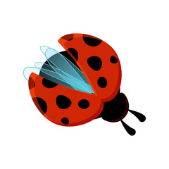Cute ladybug or ladybird simple flat design red and black. Vector illustration isolated on white background
