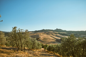 Paesaggio estivo vicino a Bagno Vignoni, Toscana.
