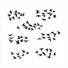 Naklejka premium Flock of birds in flight silhouette isolated on white background Art & Illustration