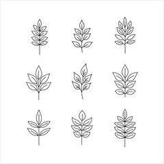 Collection of nine simple line art leaf branches silhouette isolated on white background Art & Illustration