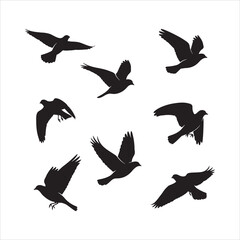 Obraz premium Collection of seven flying bird silhouettes isolated on white background silhouette Art & Illustration