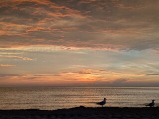 sunset on the sea