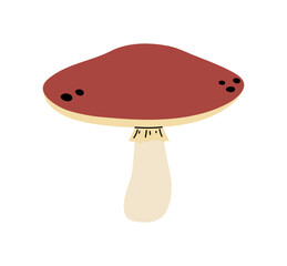 Mushroom. Vector mushroom on a white background. Vector illustration.