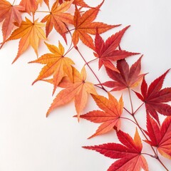 red maple leaves