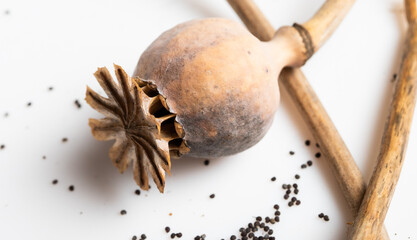 poppy seeds on white background