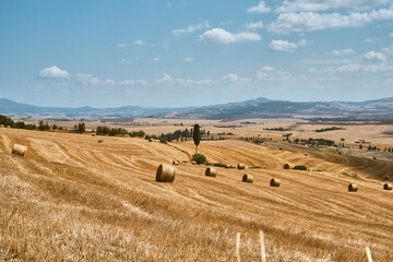 Paesaggio agricolo estivo in Toscana.