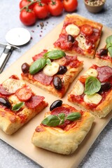 Tasty homemade pizza and ingredients on grey table, closeup