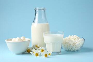 Fresh dairy products and chamomile flowers on light blue background