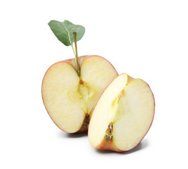 Pieces of fresh apple and leaf isolated on white