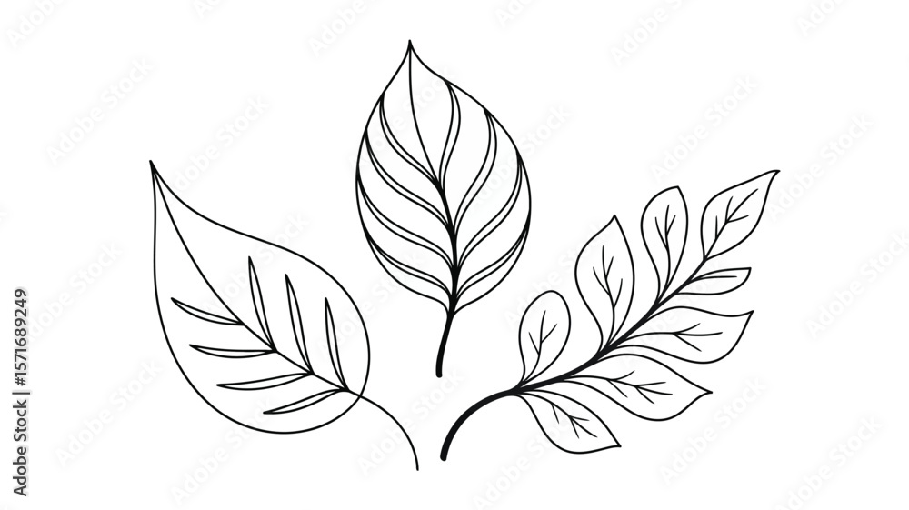 Aufkleber three outlined leaves with different shapes and vein patterns on a white background simple illustrat