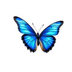 Fototapeta premium A striking blue butterfly, its wings elegantly spread, is captured against a plain transparent background, showcasing its rich color and intricate details