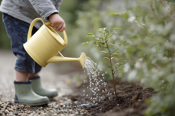 child in a rubber boots watering a plant with a yellow watering can