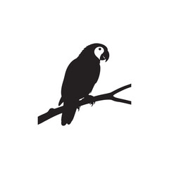 Parrot on Branch Silhouette