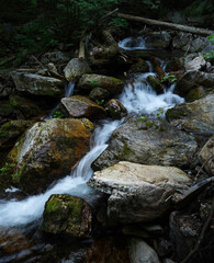 waterfall in the forest