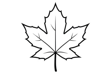 Obraz premium maple leaf silhouette vector style with white background 