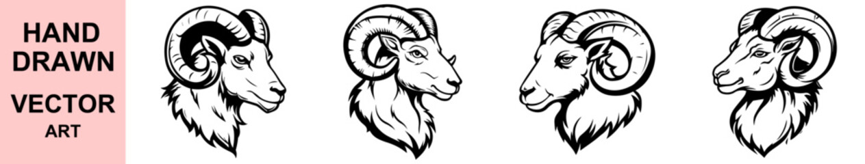 Hand drawn ram head vector illustration with strong bold lines for logos, emblems, mascot branding, tattoo, animal art, and vintage design concepts