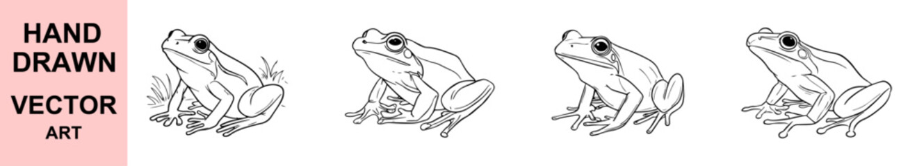 Realistic Hand Drawn Frog Vector Set, Amphibian Animal Outline Illustration, Nature Wildlife Clipart, Frog Sitting Pose Sketch for Educational and Decorative Designs