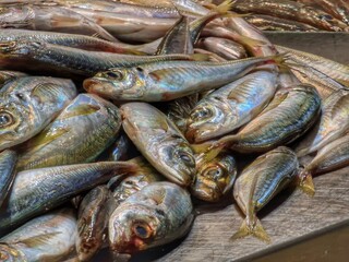 Fresh Mackerel Fish on Display at Local Seafood Market, Portugal, Faro