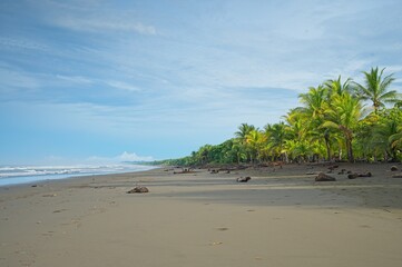 Matapolo beach in Savegre in Costa Rica