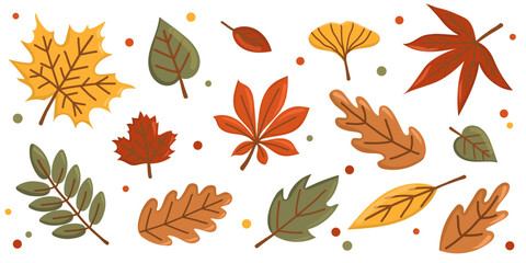 Set of colorful autumn leaves. Flat vector illustration with maple, oak, birch, chestnut leaves. Seasonal autumn design elements isolated on white background. Horizontal botanical banner.