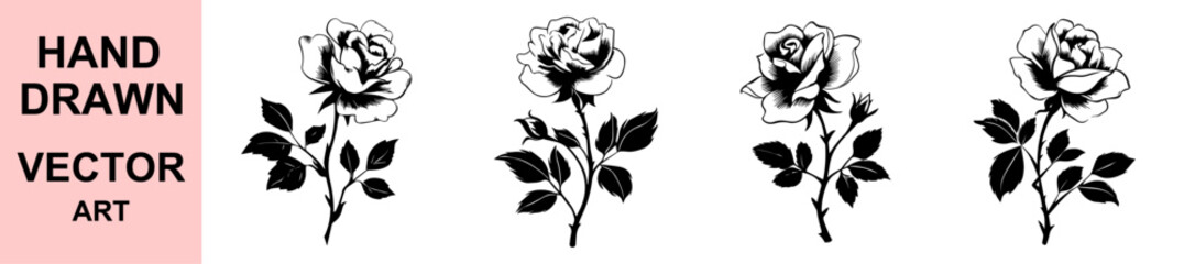 Detailed hand drawn rose stem vector illustrations in black ink, ideal for romantic art, floral tattoos, botanical prints, greeting cards, vintage themes, and decorations.