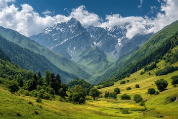 Fototapeta premium Stunning view of the Georgia mountains with lush greenery and snow-capped peaks under a blue sky and fluffy clouds
