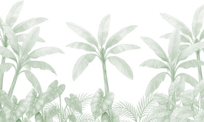 Soft green tropical wallpaper with palm trees and jungle foliage – botanical mural design
