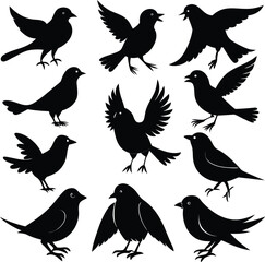 Obraz premium Birds silhouette bundle vector A collection of 12 black silhouettes in various poses, including jumping, standing, sitting. Each silhouette is clean and minimal,contrast, no details inside the shapes,