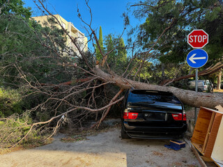 Large tree blocking a black station wagon on a street in Croatia, Split with abandoned furniture...